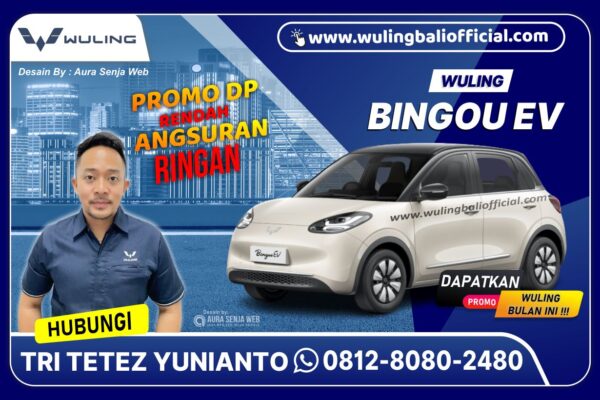 Binguo EV